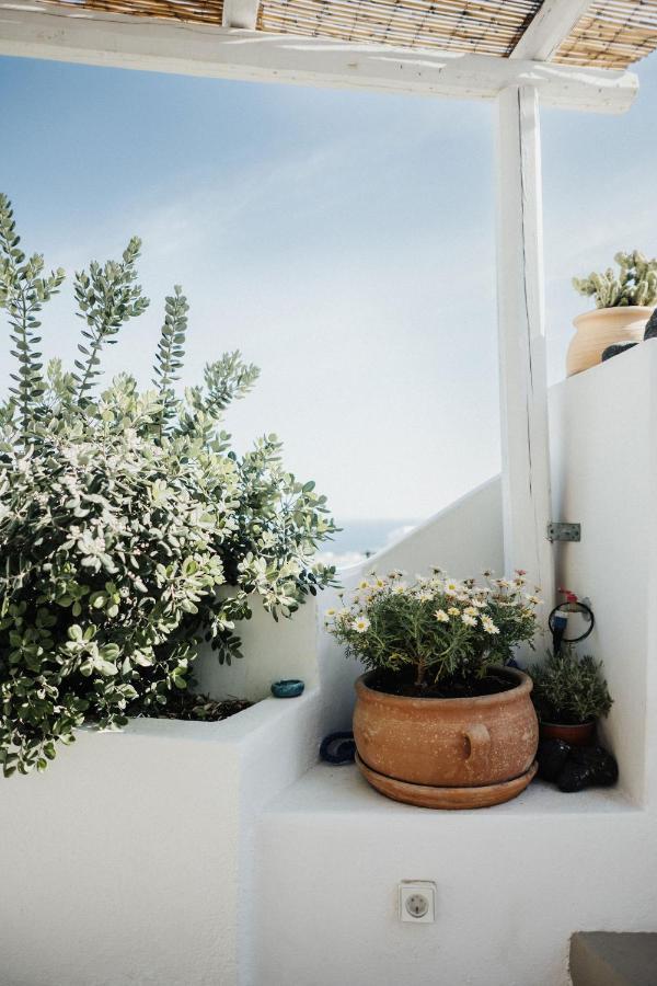 Villa Kalyva Cycladic House - Ia Exterior foto